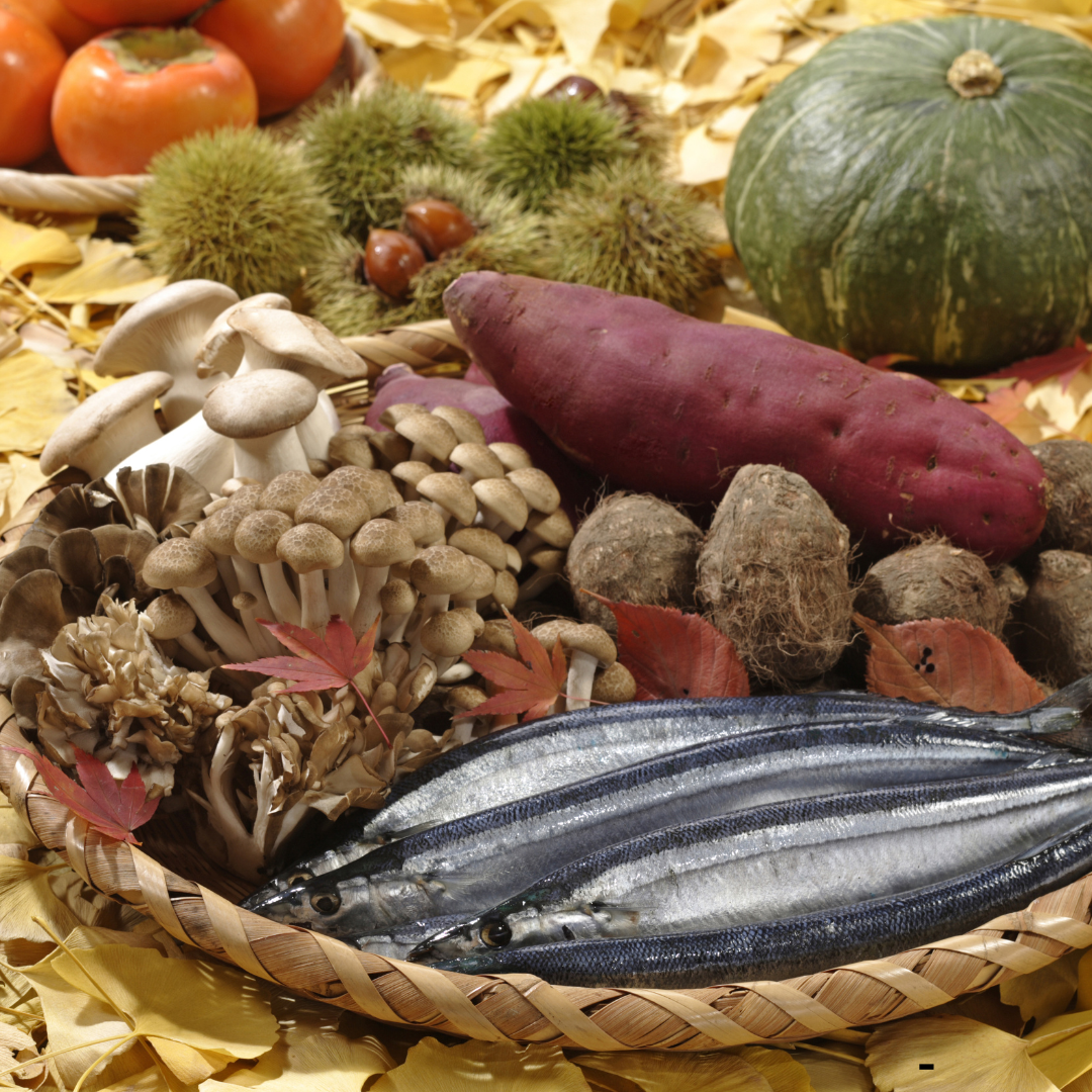 旬の食材で回復！｜11月からの“体を整える”おすすめ食材